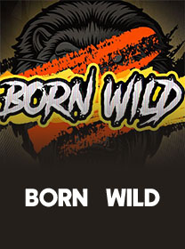 Born Wild Game: Info Provider, RTP, dan Cara Main