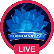 Aplikasi cendana777 Terbaru: Review dan Link Download